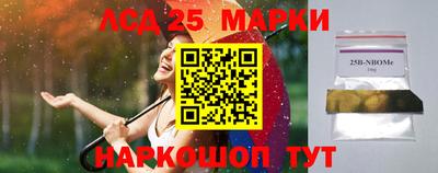 PSILOCYBIN Новозыбков