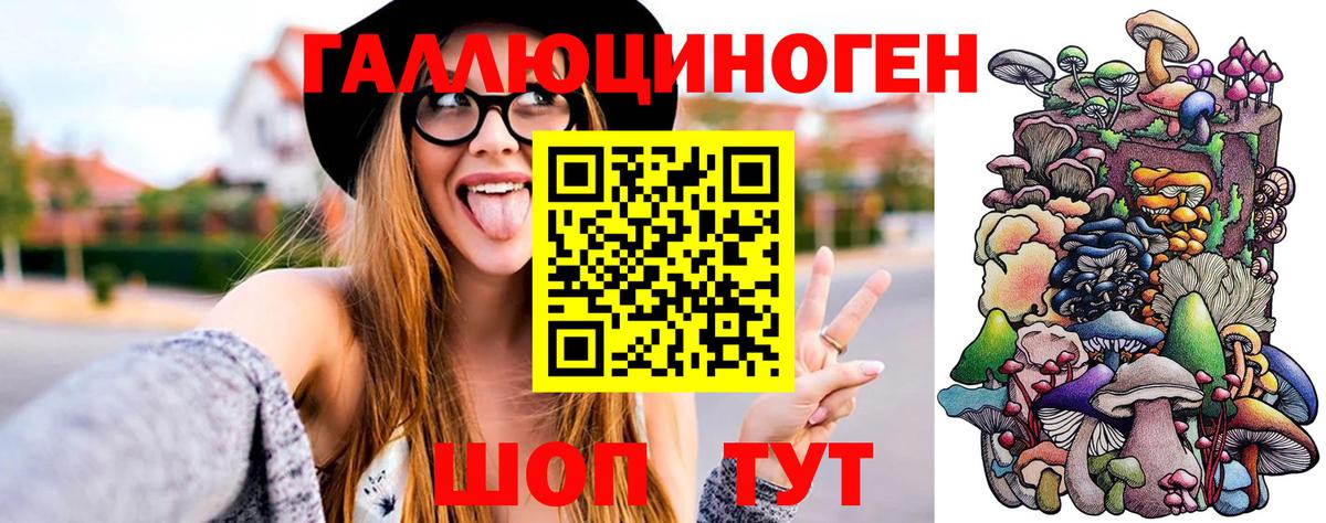 Галлюциногенные грибы Cubensis  Галлюциногенные грибы GOLDEN TEACHER  Вход с VPN  Балтийск 